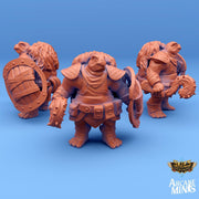 Ketsudo Barbarian, Turtle folk Knight - Arcane Minis | 32mm | Carren Pirates | Hammer | Shield | Mace | Fighter | Mercenary | Bandit