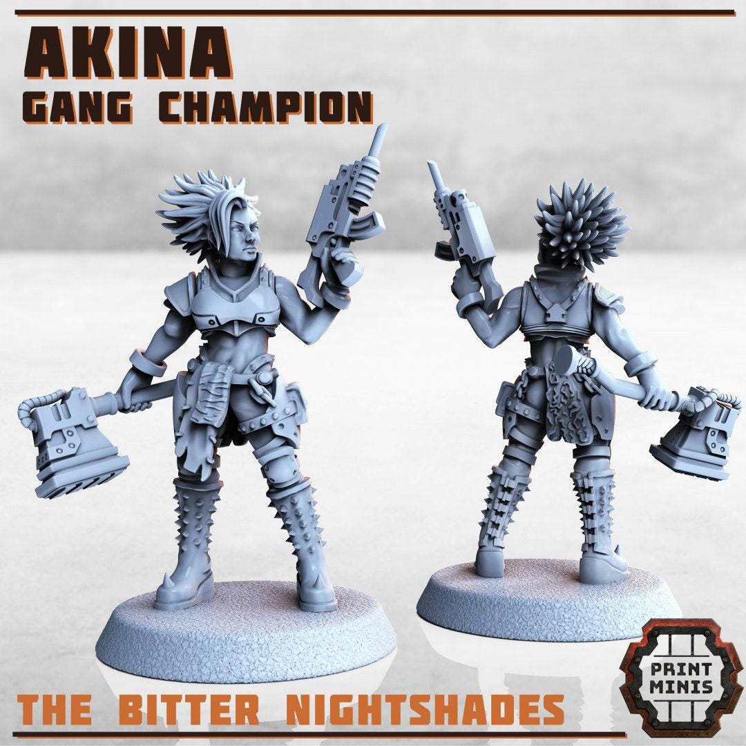 Akina, Gang Champion - Print Minis