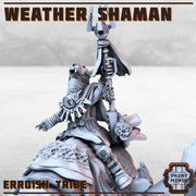 Weather Shaman  - Print Minis