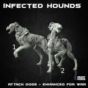 Infected Hounds - Print Minis | 28mm and 32mm | Wargaming | DnD | Tabletop Roleplaying