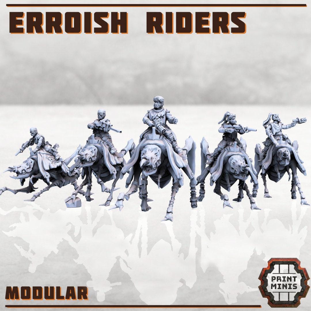 Erroish Riders  - Print Minis