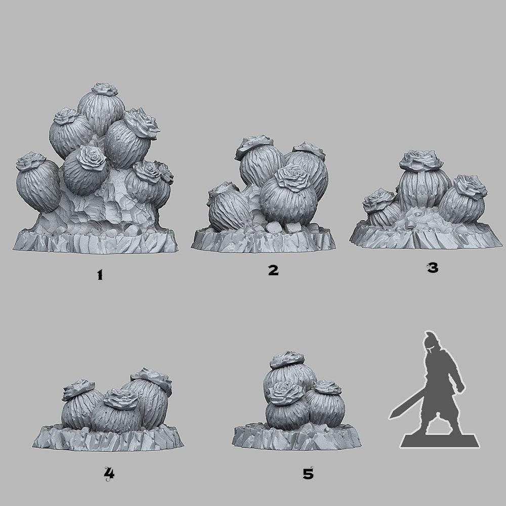 Cactus Flowers Scatter Terrain - Fantastic Plants and Rocks