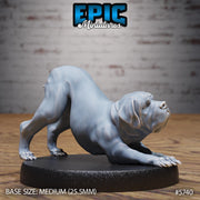 Mastiff War Dog - Epic Miniatures | Cultist Circle | 28mm and 32mm | Wargaming | DnD | Tabletop Roleplaying