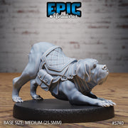 Mastiff War Dog - Epic Miniatures | Cultist Circle | 28mm and 32mm | Wargaming | DnD | Tabletop Roleplaying