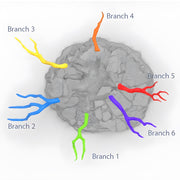 Hangman Tree. Shadowfey Wilds, 15mm, 28mm, 32mm - Printable Scenery | 28mm and 32mm | Wargaming | DnD | Tabletop Roleplaying