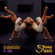 Grabantualas. Wrestle Spiders - Strange Stables | 28mm and 32mm | Wargaming | DnD | Tabletop Roleplaying