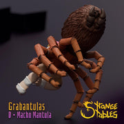 Grabantualas. Wrestle Spiders - Strange Stables | 28mm and 32mm | Wargaming | DnD | Tabletop Roleplaying