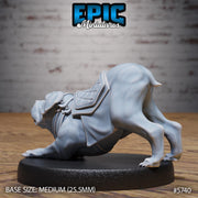 Mastiff War Dog - Epic Miniatures | Cultist Circle | 28mm and 32mm | Wargaming | DnD | Tabletop Roleplaying