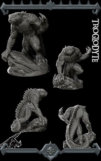 Troglodyte - Rocket Pig Games
