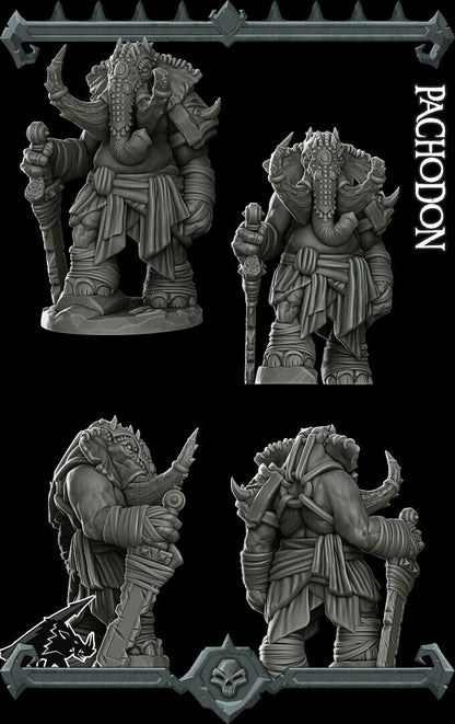 Pachodon. Elephant Folk Warrior - Rocket Pig Games