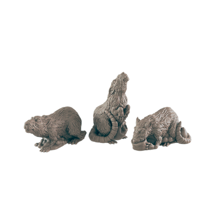Rats (7x Pieces) - Ec3d