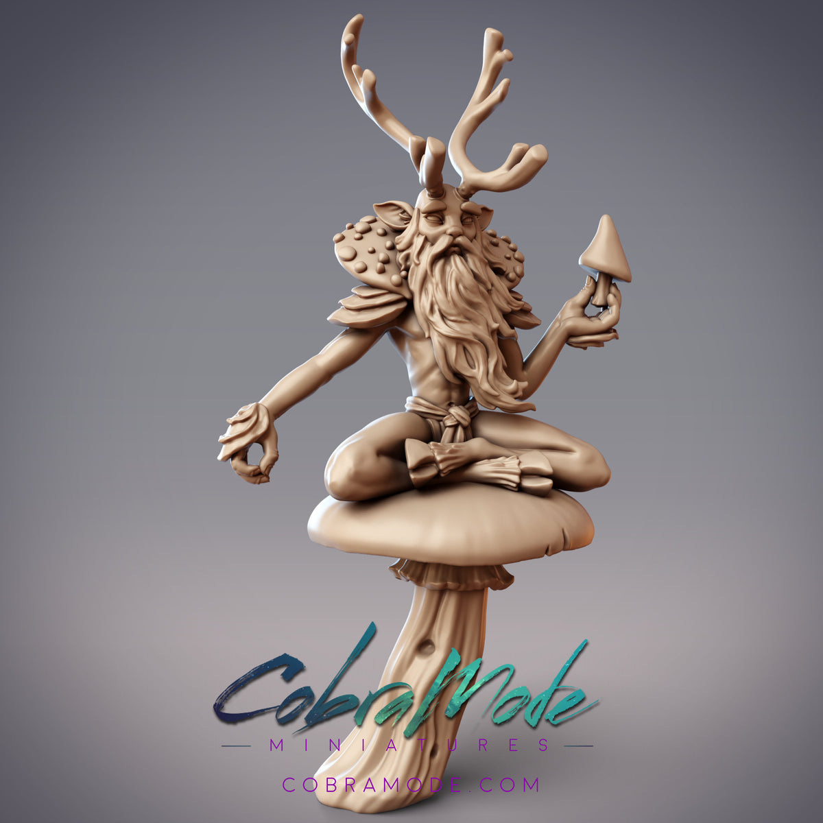 Ciorcal Druid Riabhach. Mushroom Shaman - CobraMode