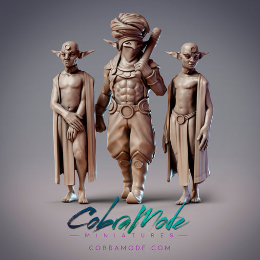 Usurer Overseer Shadid & Debtors, Elf Bodyguard - CobraMode