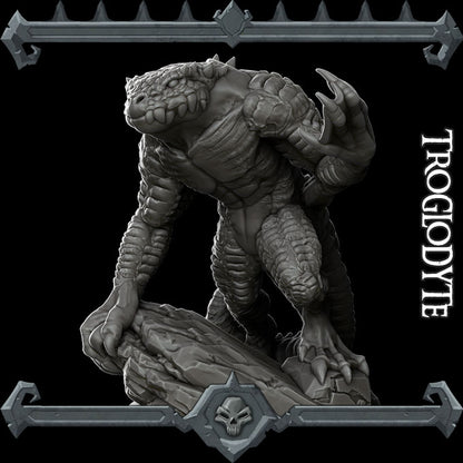 Troglodyte - Rocket Pig Games