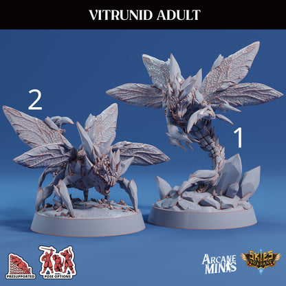 Vitrunid Adult, Alien Bug - Sordane Publishing (Copy)