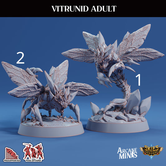 Vitrunid Adult, Alien Bug - Sordane Publishing (Copy)