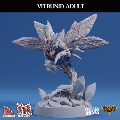 Vitrunid Adult, Alien Bug - Sordane Publishing (Copy)