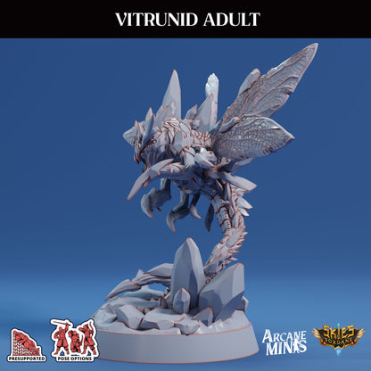 Vitrunid Adult, Alien Bug - Sordane Publishing (Copy)