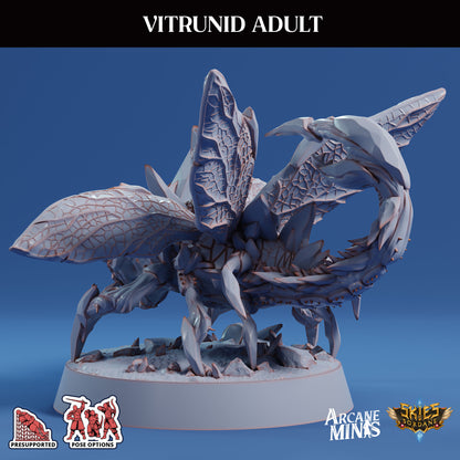 Vitrunid Adult, Alien Bug - Sordane Publishing (Copy)