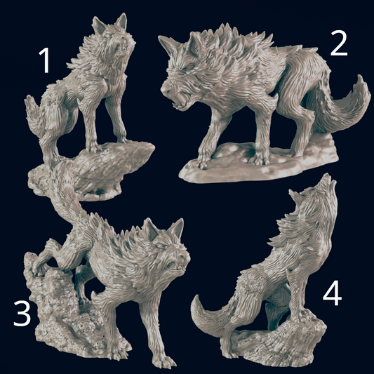 Wolf - Ec3d