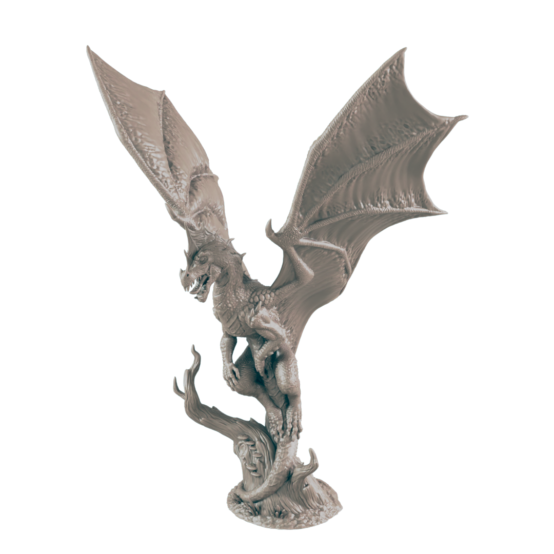 Young Green Dragon - Ec3d