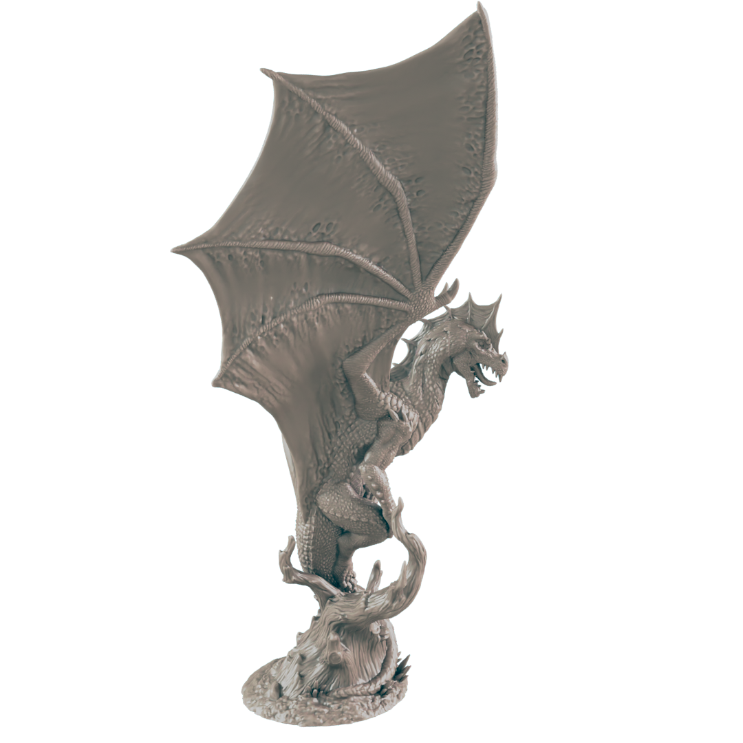 Young Green Dragon - Ec3d