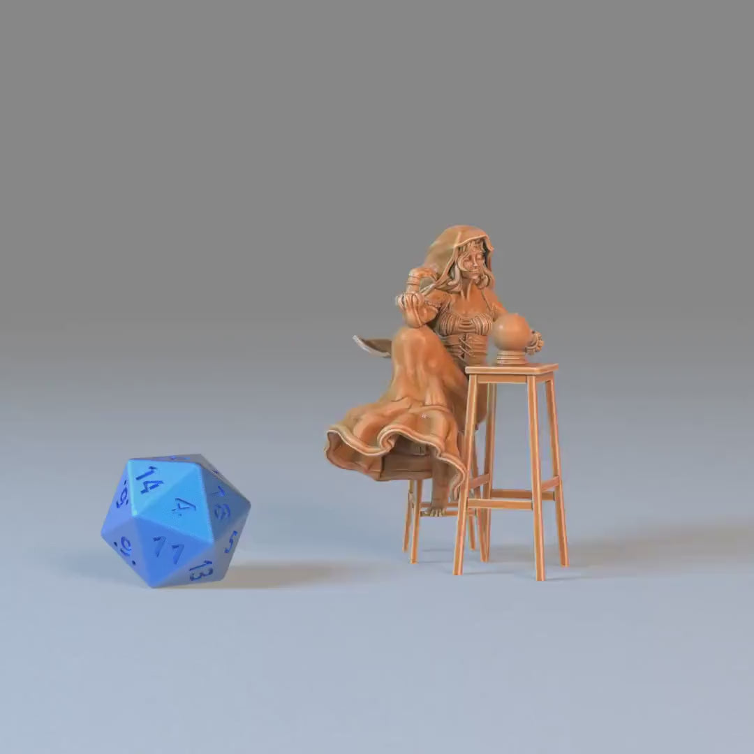 Fortune Teller - Epic Miniatures