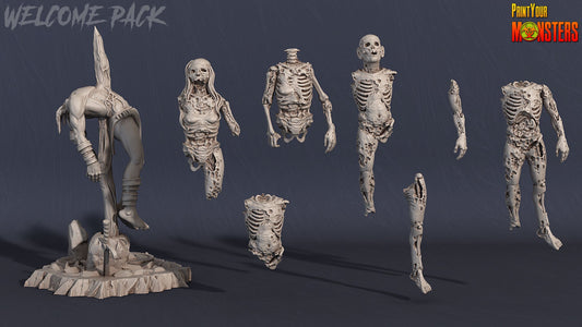 Rotting Cadaver Pack - Print Your Monsters 