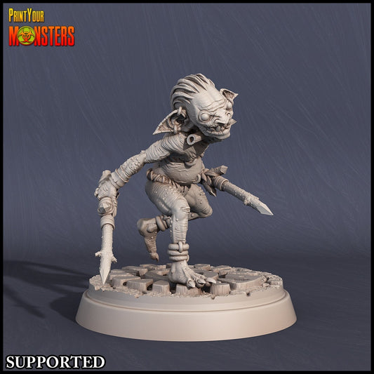 Goblin Assassin - Print Your Monsters 