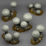 Data Shrooms - Fantastic Plants and Rocks 