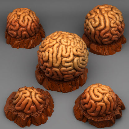 Gomacian Memory Stones Scatter Terrain - Fantastic Plants and Rocks 