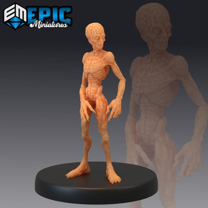 Doppleganger - Epic Miniatures 