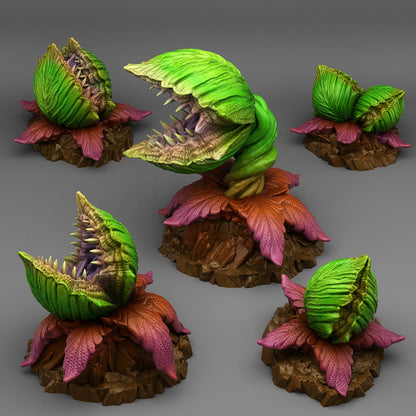 Massive Carnivorous Plants Scatter Terrain - Fantastic Plants and Rocks 