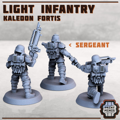 Kaledon Fortis Troops - Print Minis 