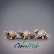 Baby Kyoka Turtles - CobraMode
