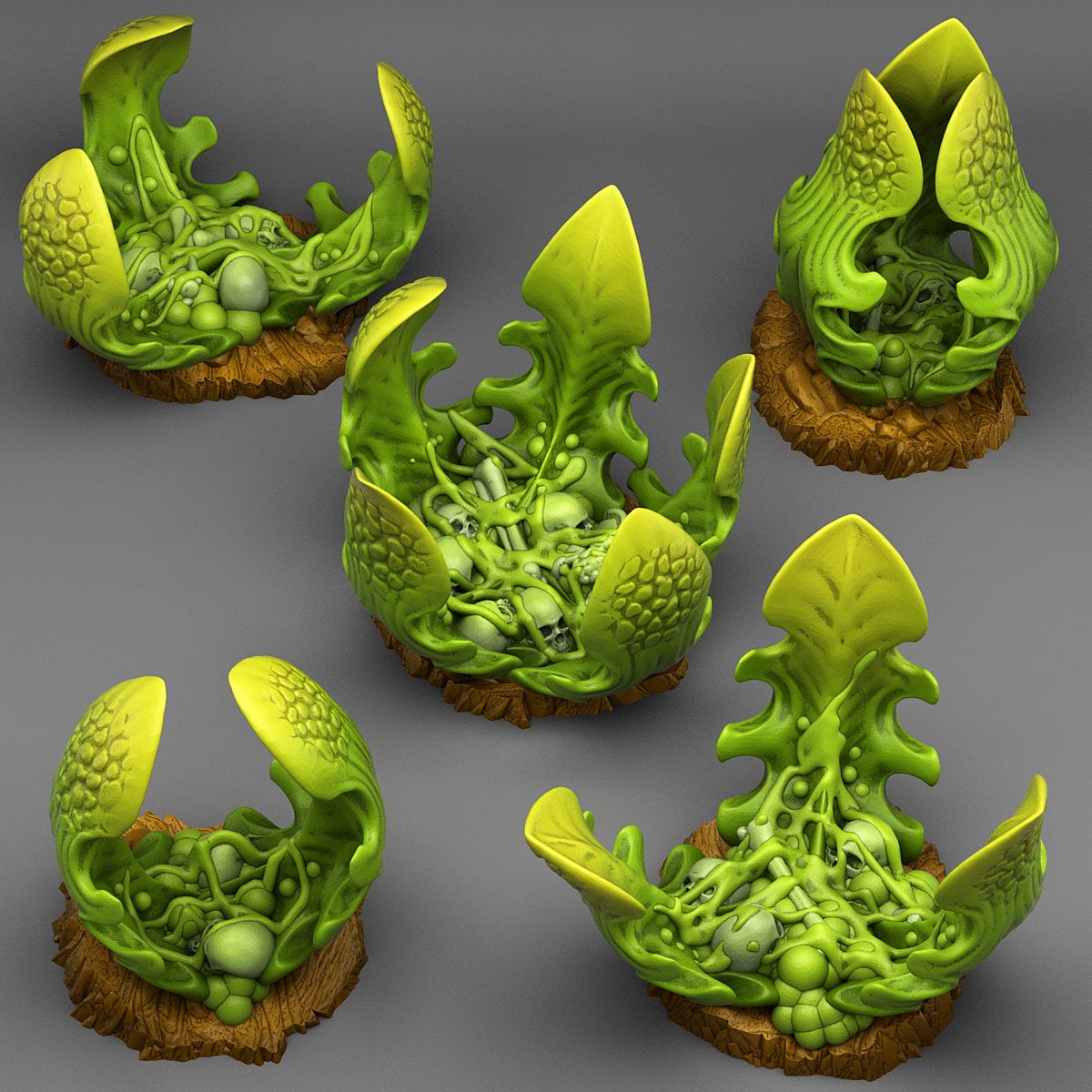 Carnivorous Glue Plants Scatter Terrain - Fantastic Plants and Rocks