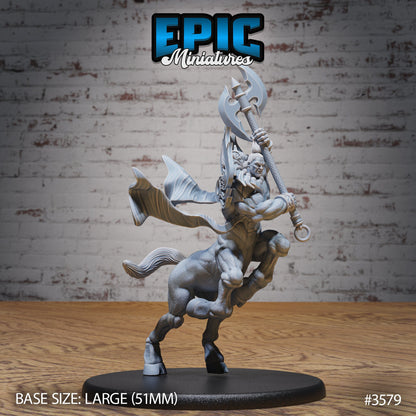 Divine Centaur - Epic Miniatures | Ninth Age | 32mm |Iron Fist Tournament | Martial Artist | Fighter | Brawler | Monk | Barbarian