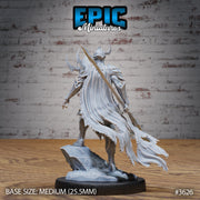 Frost Demon Knight - Epic Miniatures | 32mm | Ice Age Madness | Fighter | Warrior | Lich | Paladin