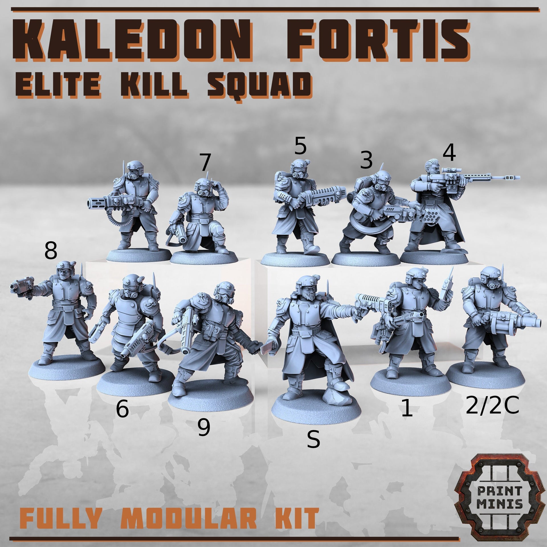 Kaledon Fortis Elite Troops - Print Minis | Sci Fi | Light Infantry | Imperial | 28mm Heroic | Veteran | Guard | Soldier | Specialistst