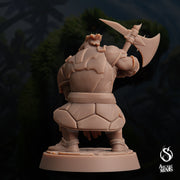 Dwarf Warden - Arcane Minis | 32mm | Dino Domination | Fighter | Knight | Guard